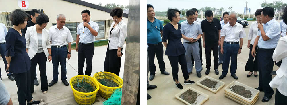 新闻=省委胥秘书长与省农业农村厅杨厅长一行及市、县等领导，来我司视察05.jpg