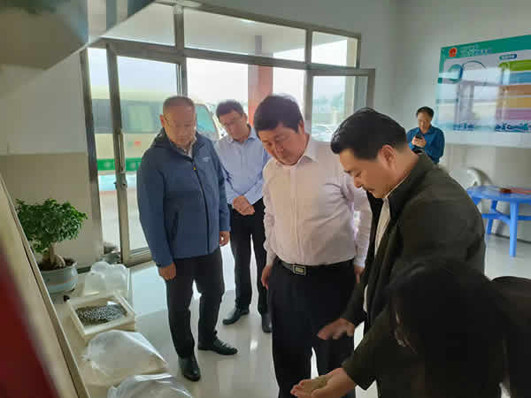 新闻=市人大领导来司调研01.jpg