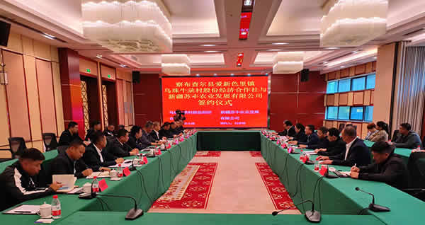 新闻=公司在新疆察布查尔县投资项目签订仪式01.jpg